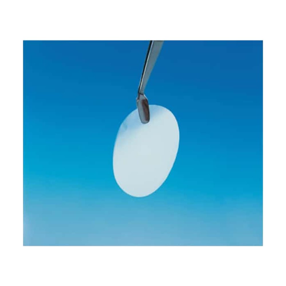 Cytiva&nbsp;Membranes poreuses en polycarbonate de 19 mm Whatman&trade; Nuclepore&trade;