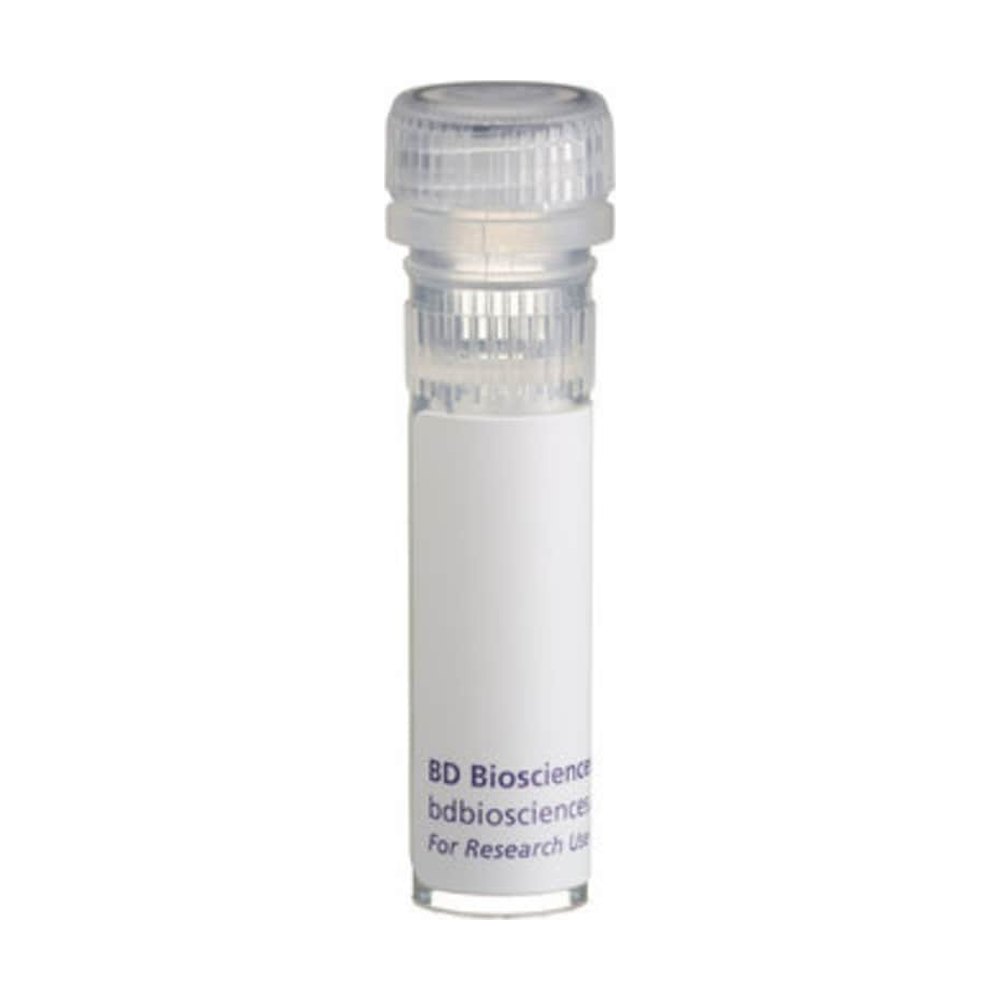 BD&nbsp;Interleukine-4 recombinante de rat (IL-4)