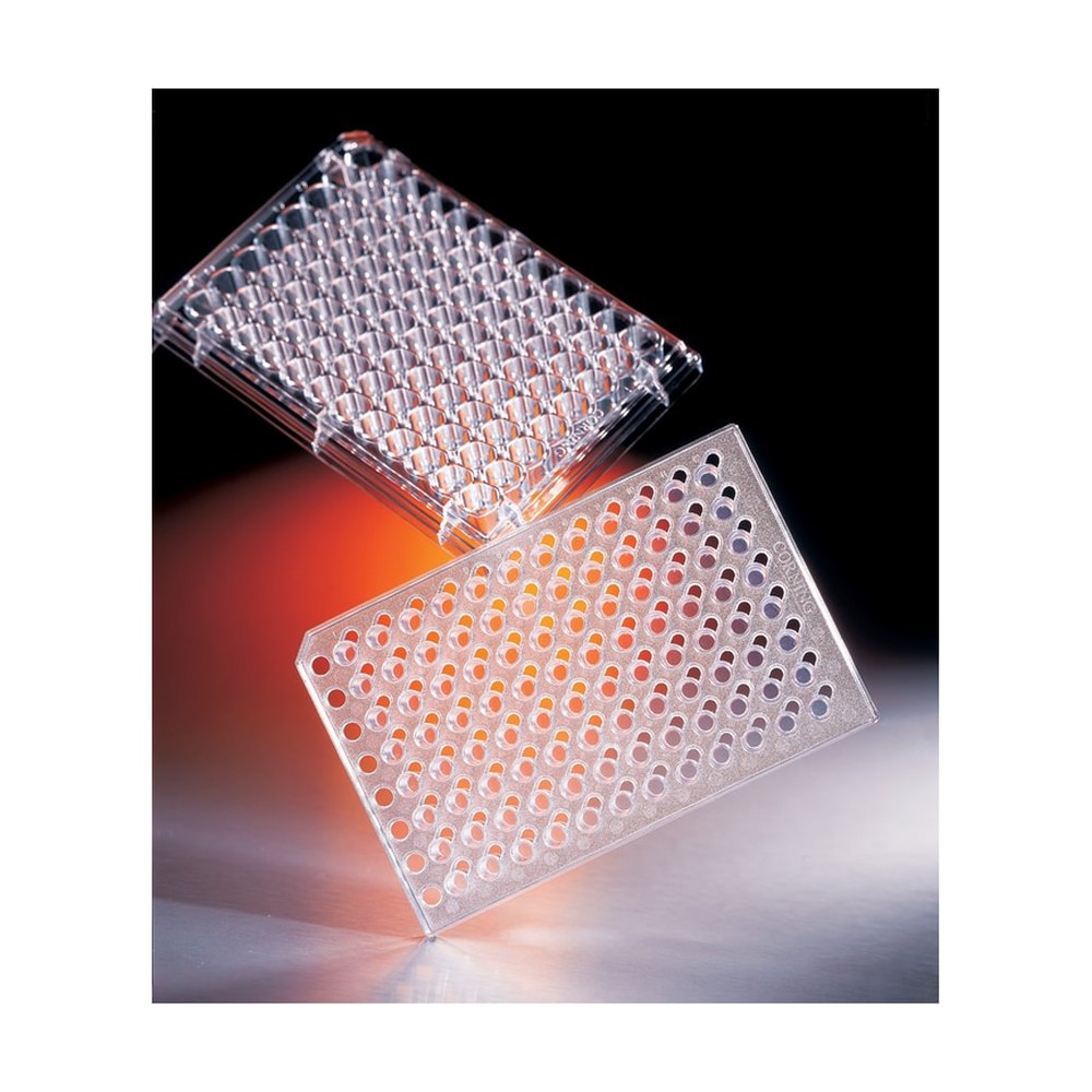 Corning&trade;&nbsp;Support perméable à 96 puits Costar&trade; HTS Transwell&trade; avec membrane en polyester