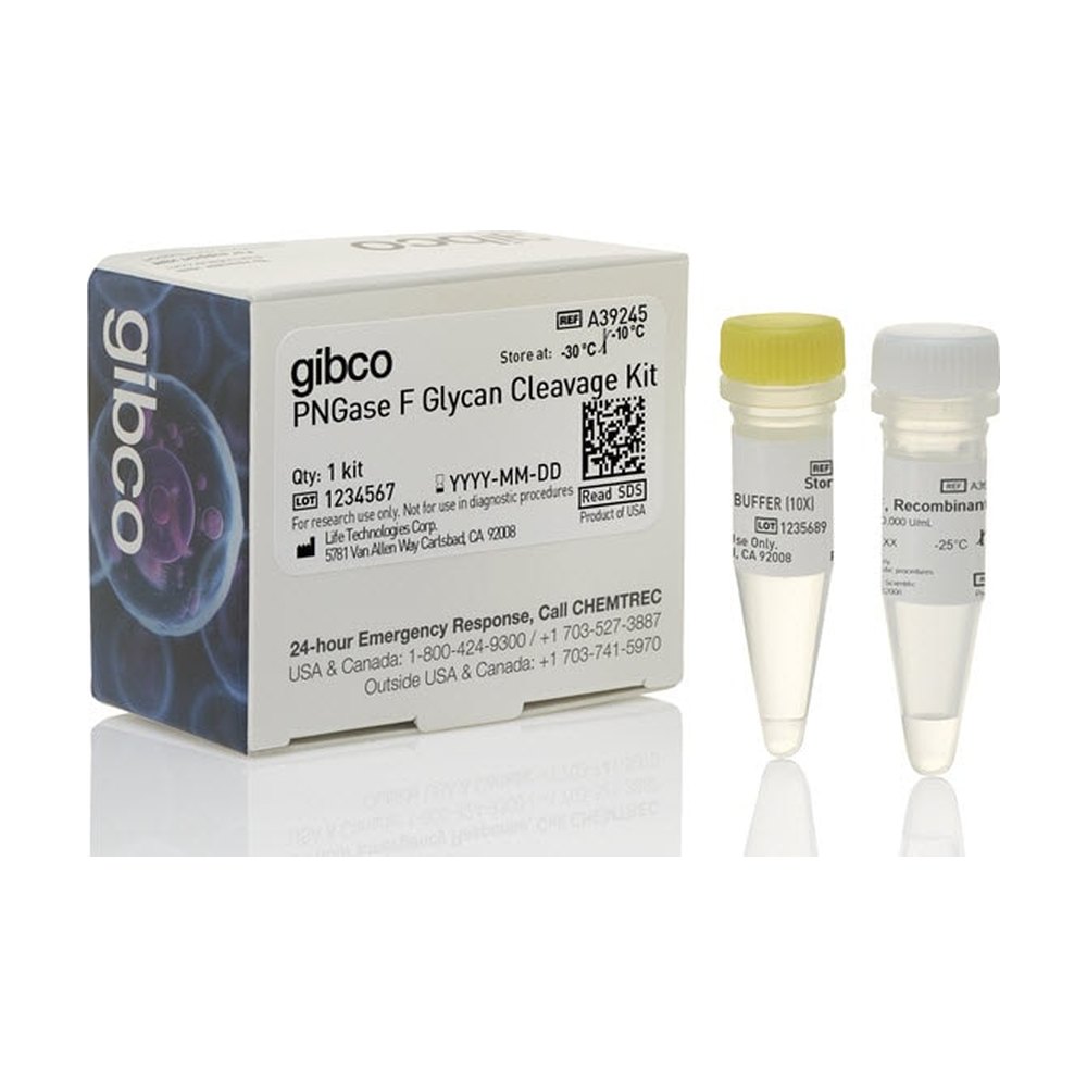 Gibco&trade;&nbsp;PNGase F Glycan Cleavage Kit