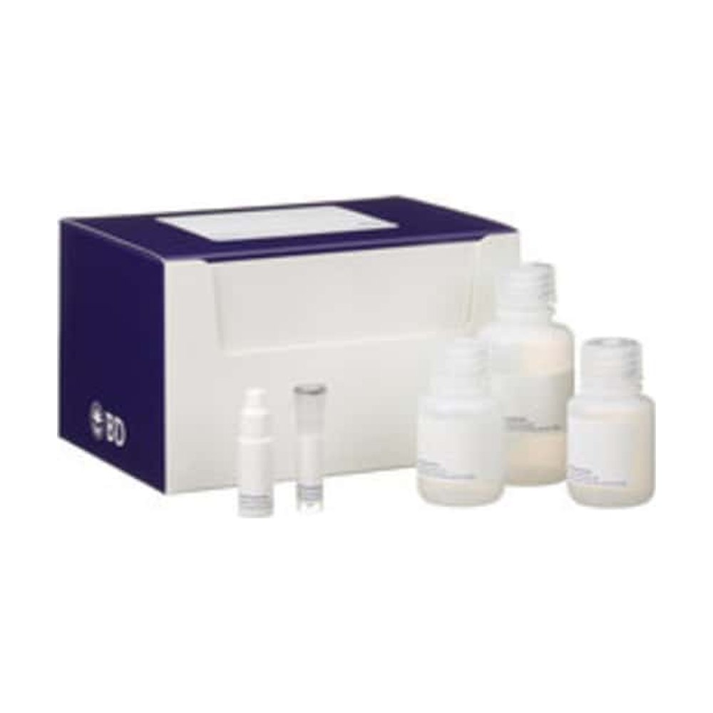 BD&nbsp;Kit de détection d’anti-Ig HRP de souris