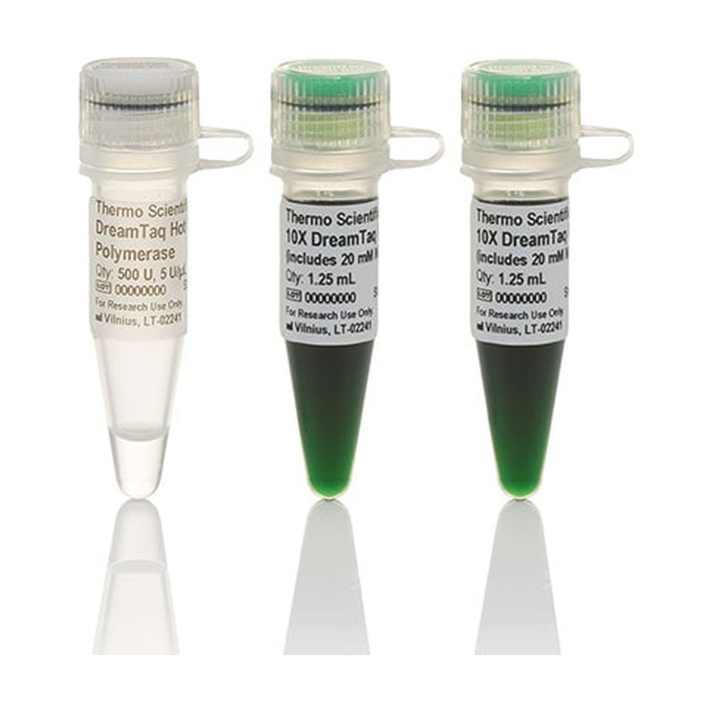 DreamTaq&nbsp;ADN polymérase DreamTaq&trade; Hot Start Green