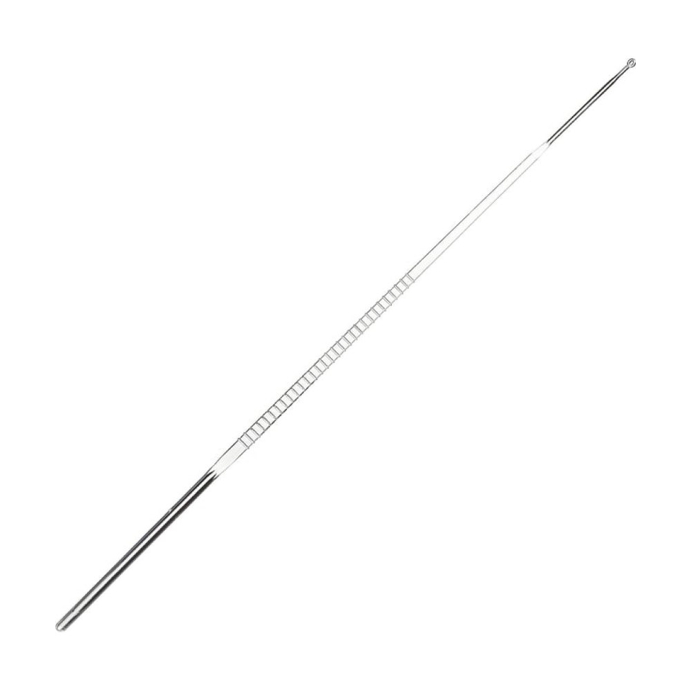 Anses et aiguilles jetables Nunc™ 1μL