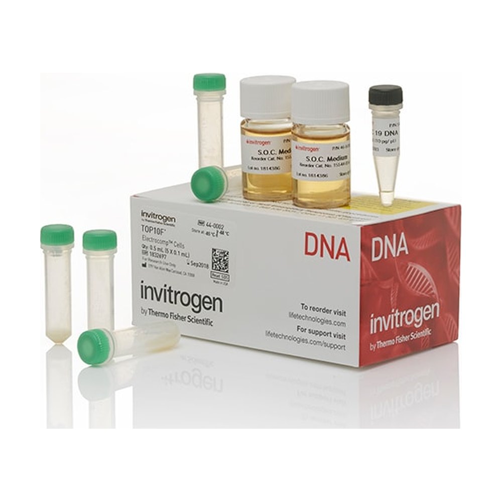 Invitrogen&trade;&nbsp;TOP10F' Electrocomp&trade; Kit