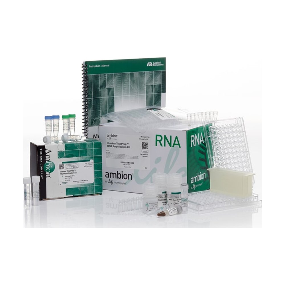Invitrogen&trade;&nbsp;Illumina&trade; TotalPrep&trade; RNA Amplification Kit