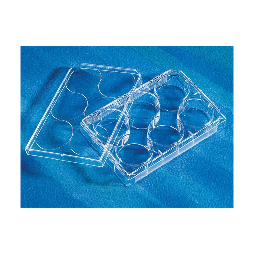 Corning&trade;&nbsp;Microplaques à surface Synthemax&trade;
