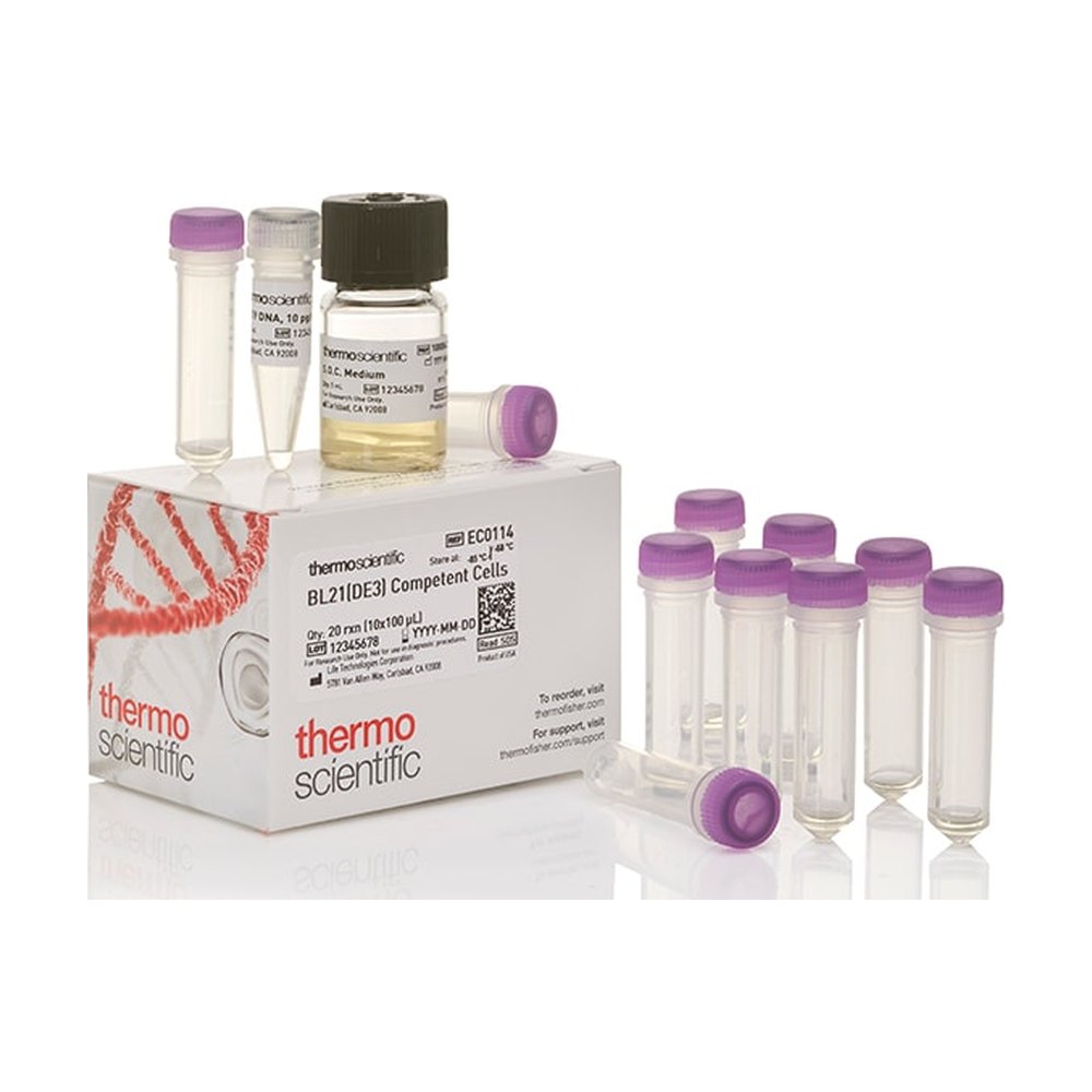 Thermo Scientific&trade;&nbsp;Cellules compétentes BL21 (DE3)