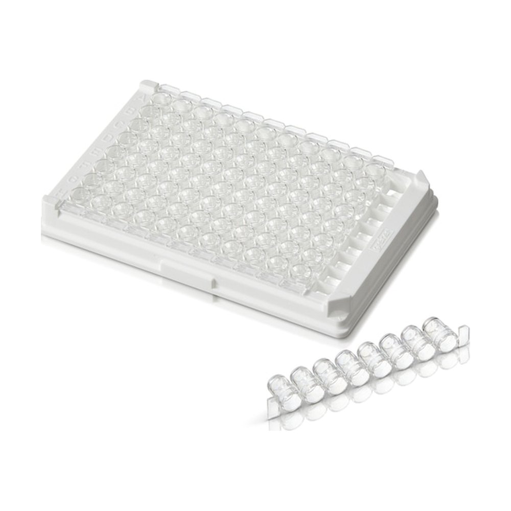 Thermo Scientific™ Plaques haute sensibilité revêtues de NeutrAvidin™ Pierce™, transparentes, barrettes de 8 puits