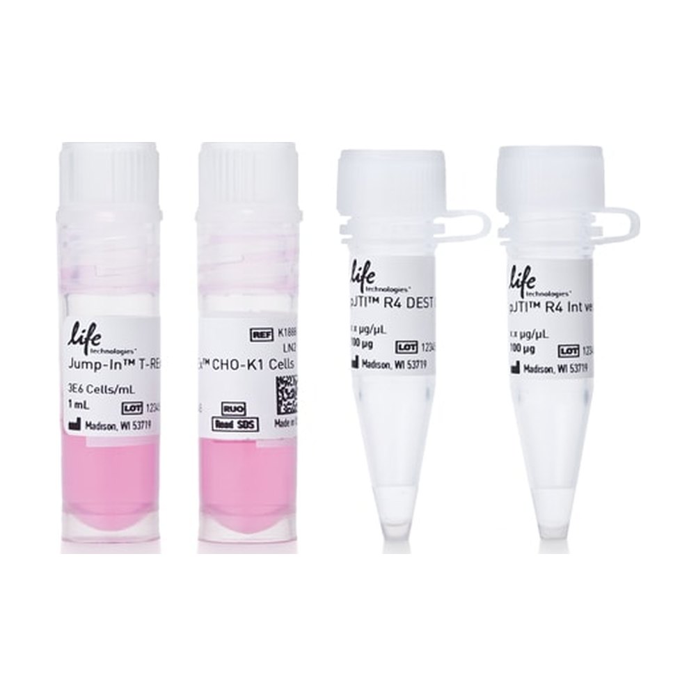 Thermo Scientific&trade;&nbsp;Jump In&trade; T-REx&trade; CHO-K1 Kit