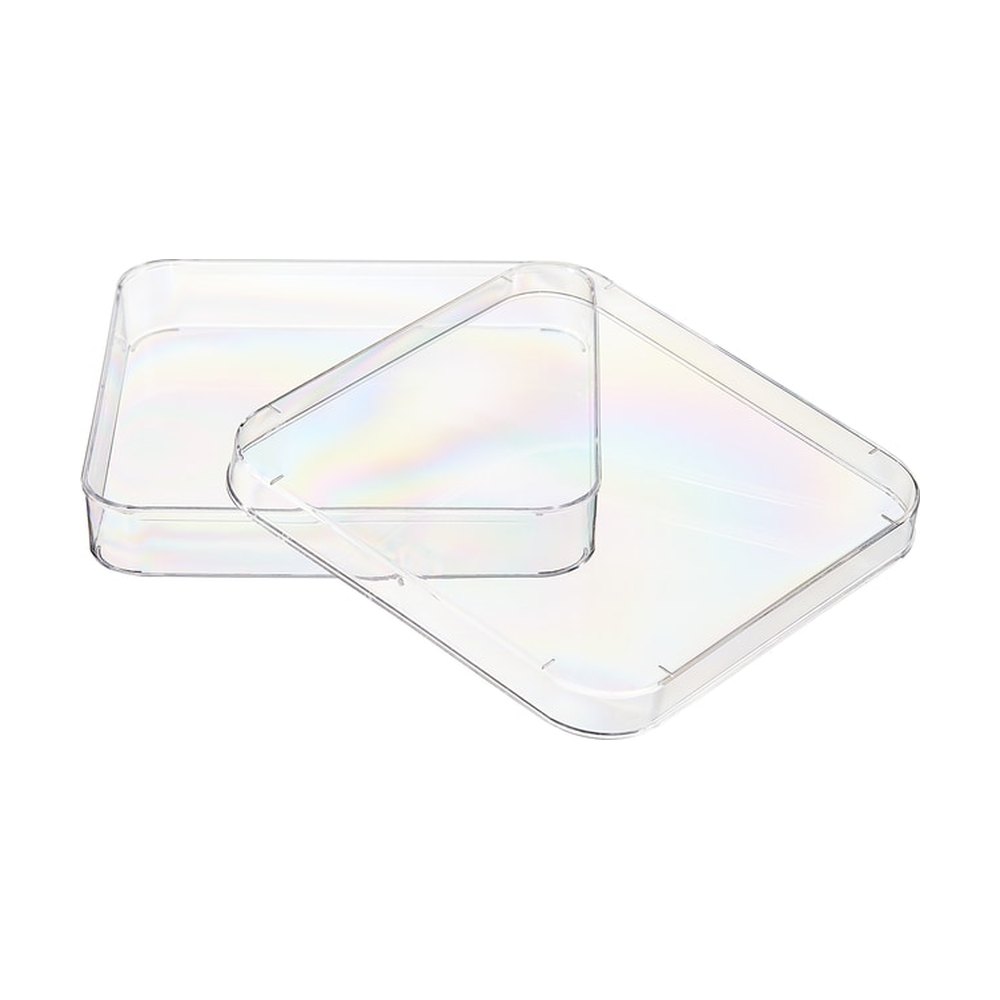 Thermo Scientific&trade;&nbsp;Boîtes de Pétri Nunc&trade; Lab-Tek&trade;