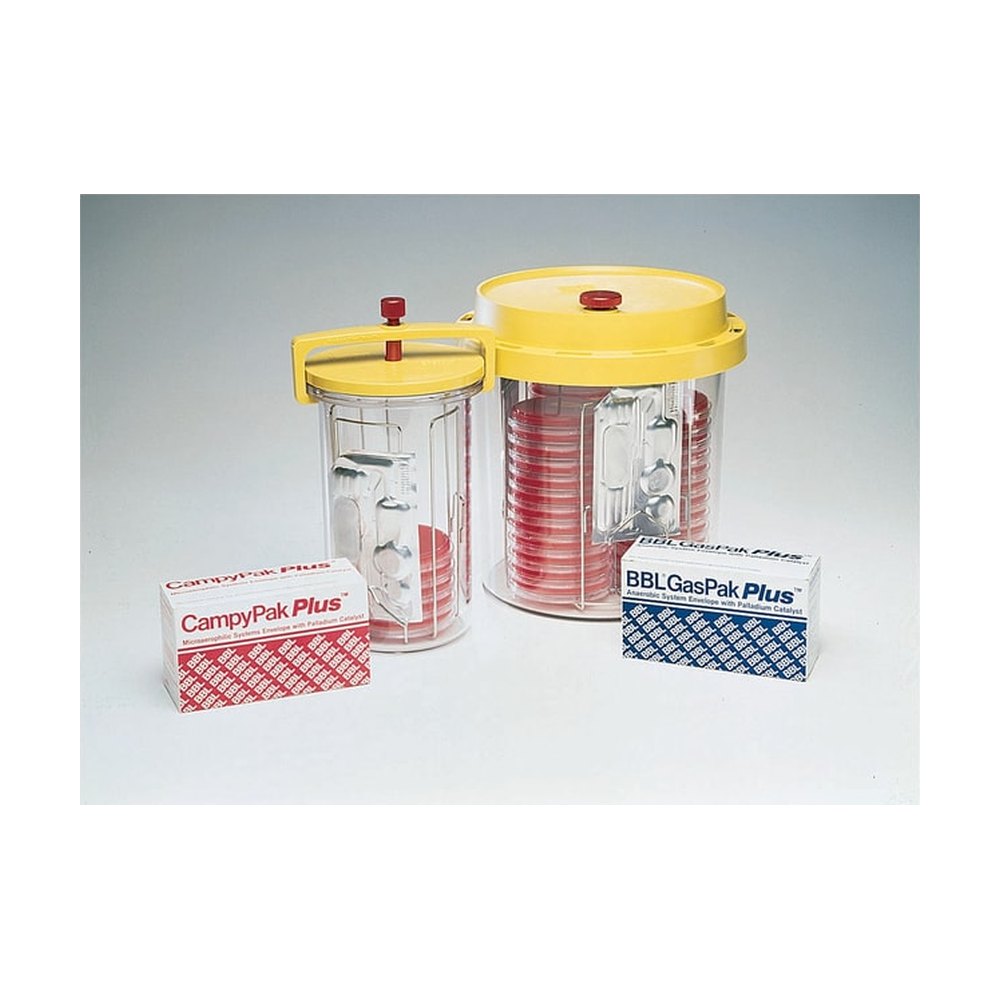 BD Systèmes GasPak™ 100