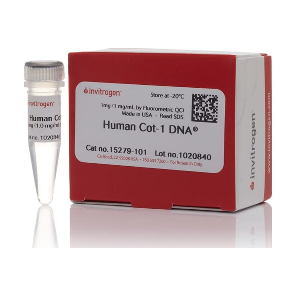 Invitrogen&trade;&nbsp;Human Cot-1 DNA&trade;-Fluorometric QC