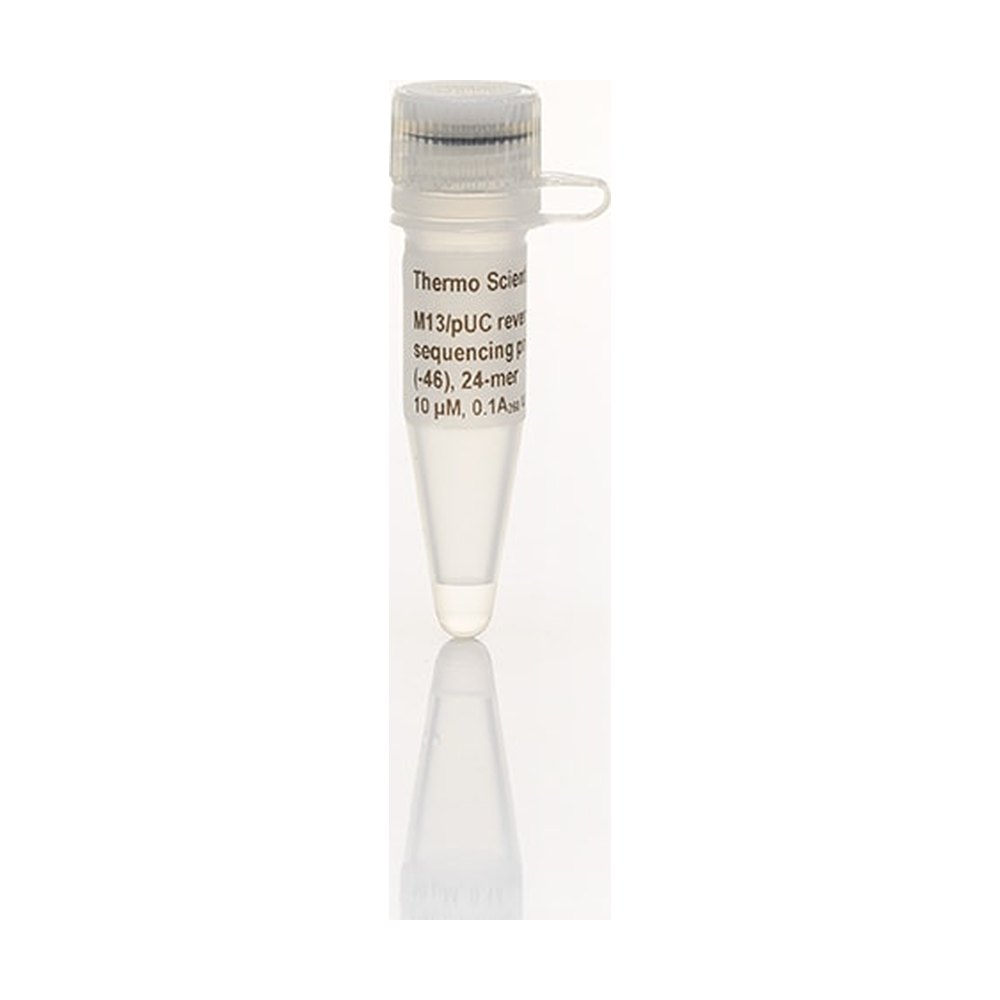 Thermo Scientific™ M13/pUC Reverse Sequencing Primer (-46), 24-mer