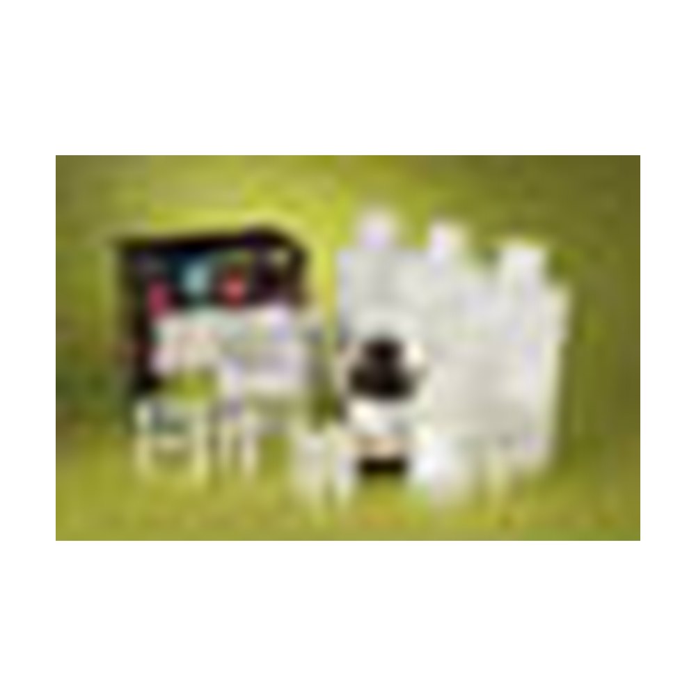 Thermo Scientific&trade;&nbsp;tRNA for LightShift&trade; Chemiluminescent RNA EMSA Kit