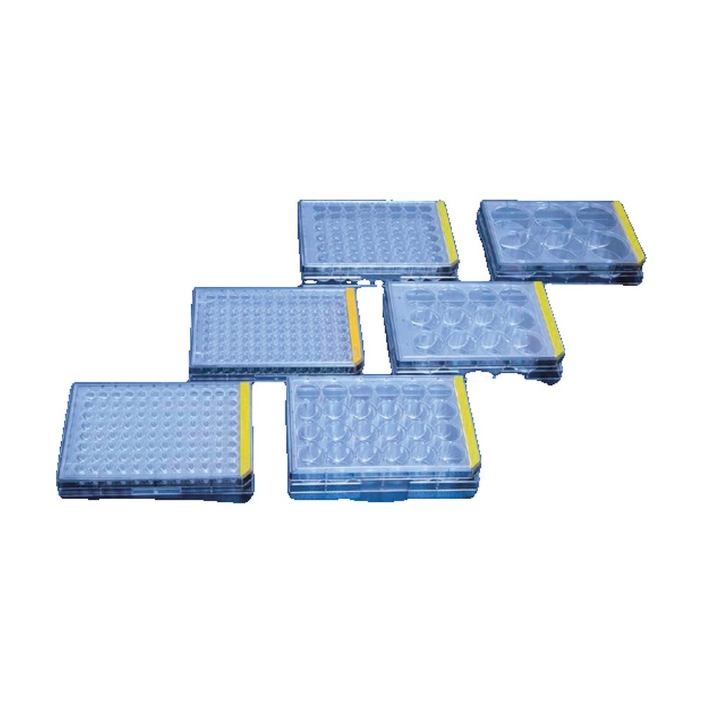 TPP Techno Plastic Products AG&nbsp;Plaque de test pour culture tissulaire
