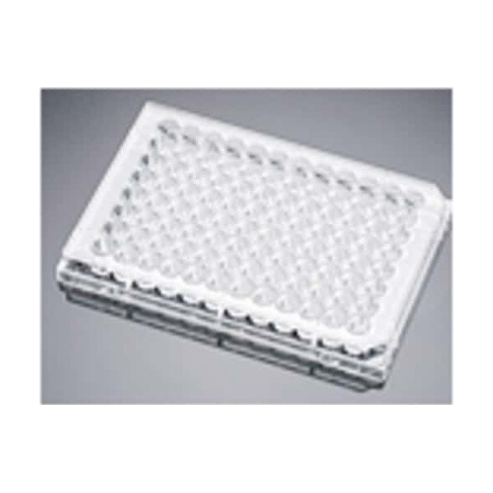 Plaques multipuits Corning™ BioCoattrade; revêtues de poly-L-lysine