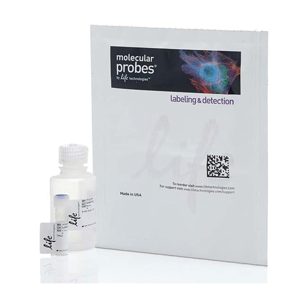 Molecular Probes&trade;&nbsp;TSA&trade; Reagent, Alexa Fluor&trade; 568 Tyramide