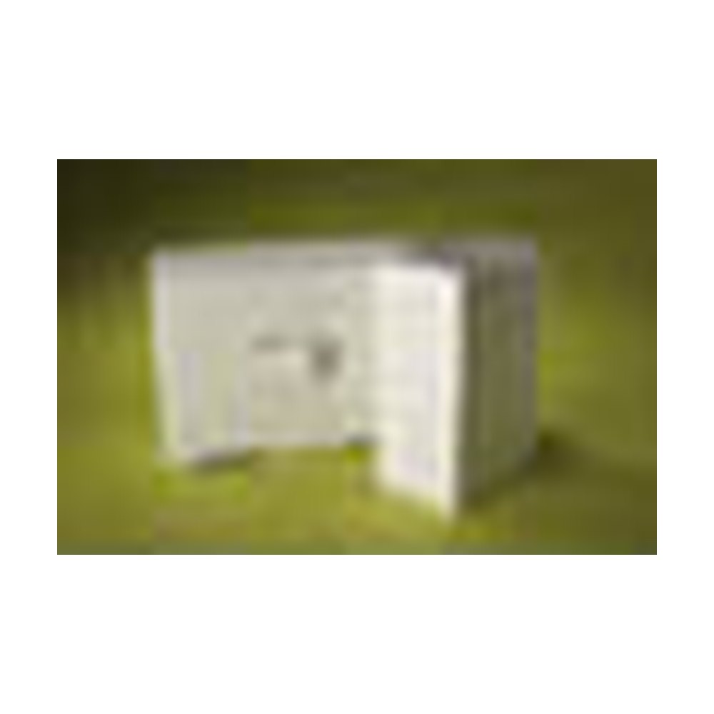 Thermo Scientific&trade;&nbsp;Papier-filtre pour transfert Western, extra épais, 8,5 cm x 9 cm