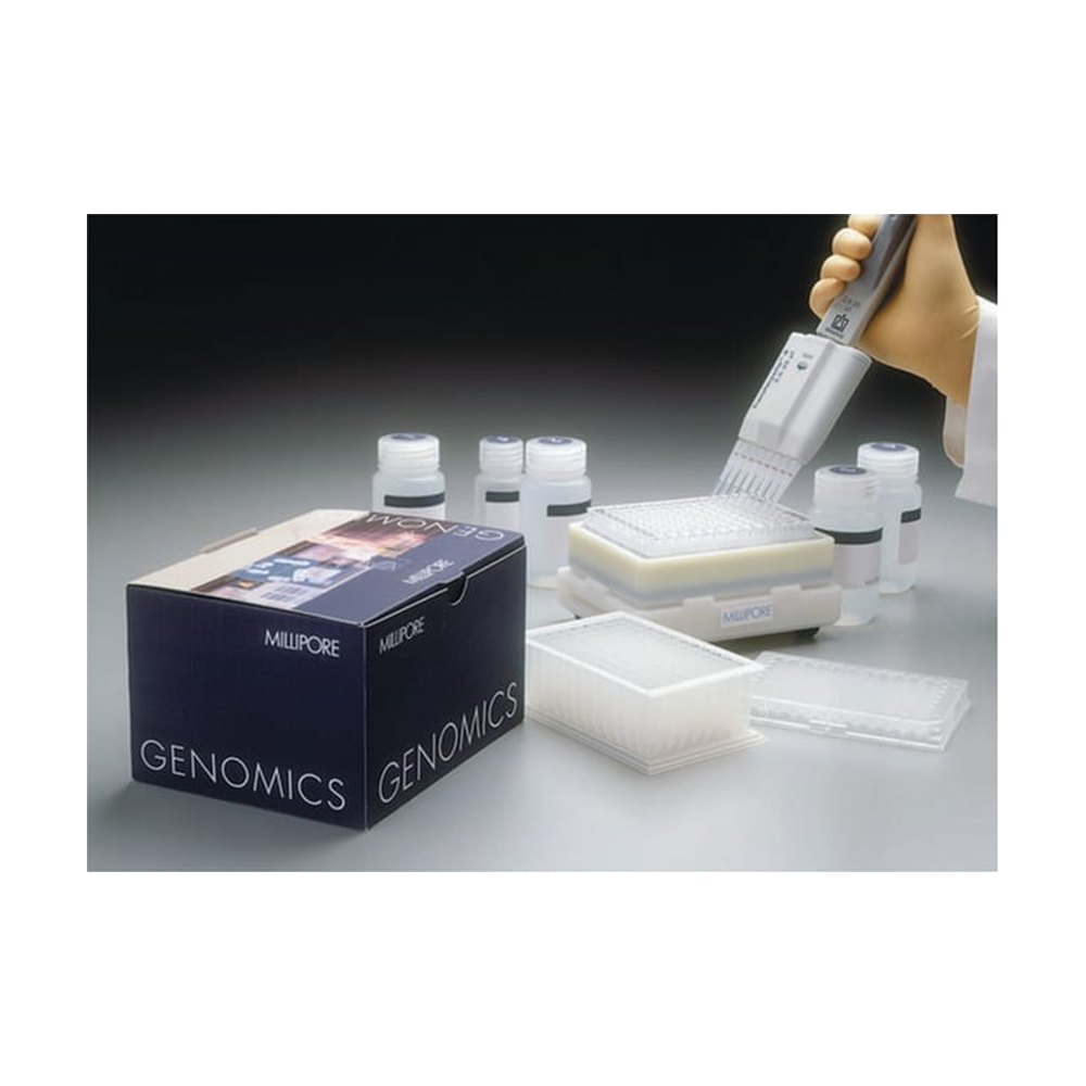 Merck&nbsp;Montage&trade; Kits Plasmid Miniprep<sub>96</sub>