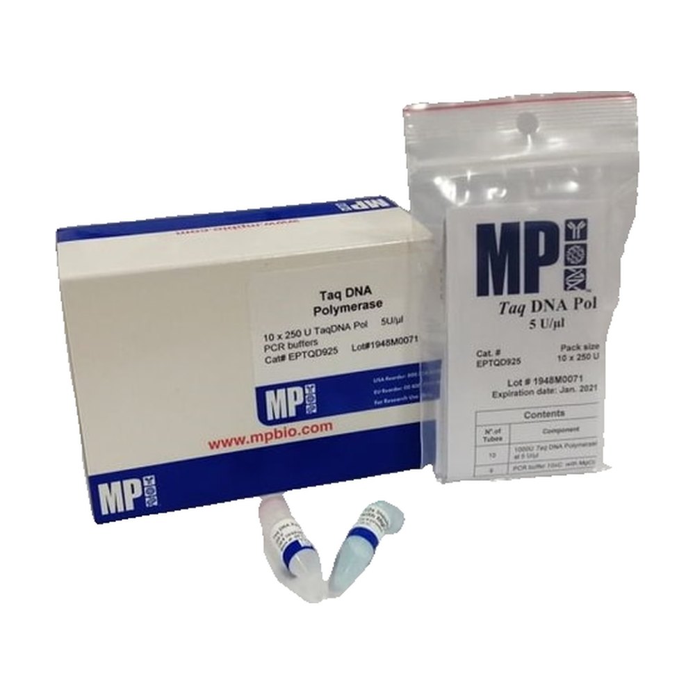 MP Biomedicals™ Taq ADN Pol