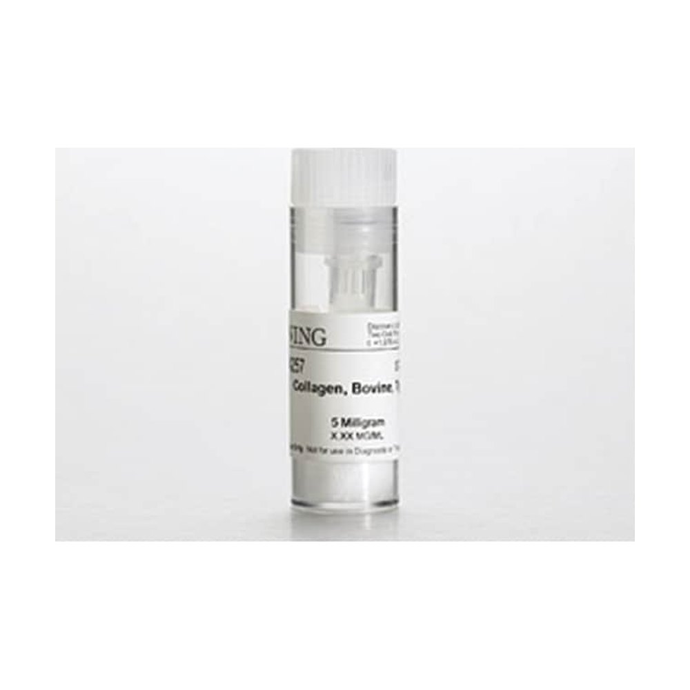 Corning&trade;&nbsp;Collagen II, Bovine