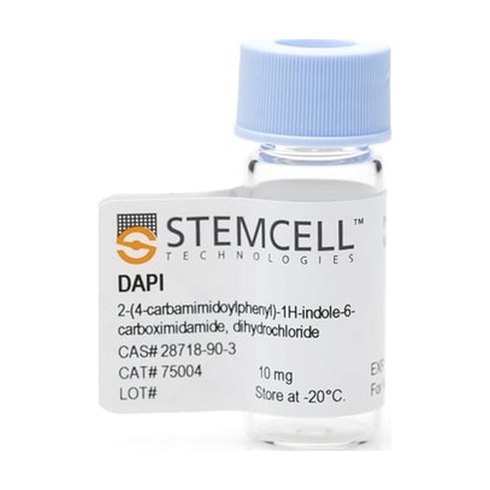 STEMCELL Technologies&nbsp;DAPI (Hydrochloride)