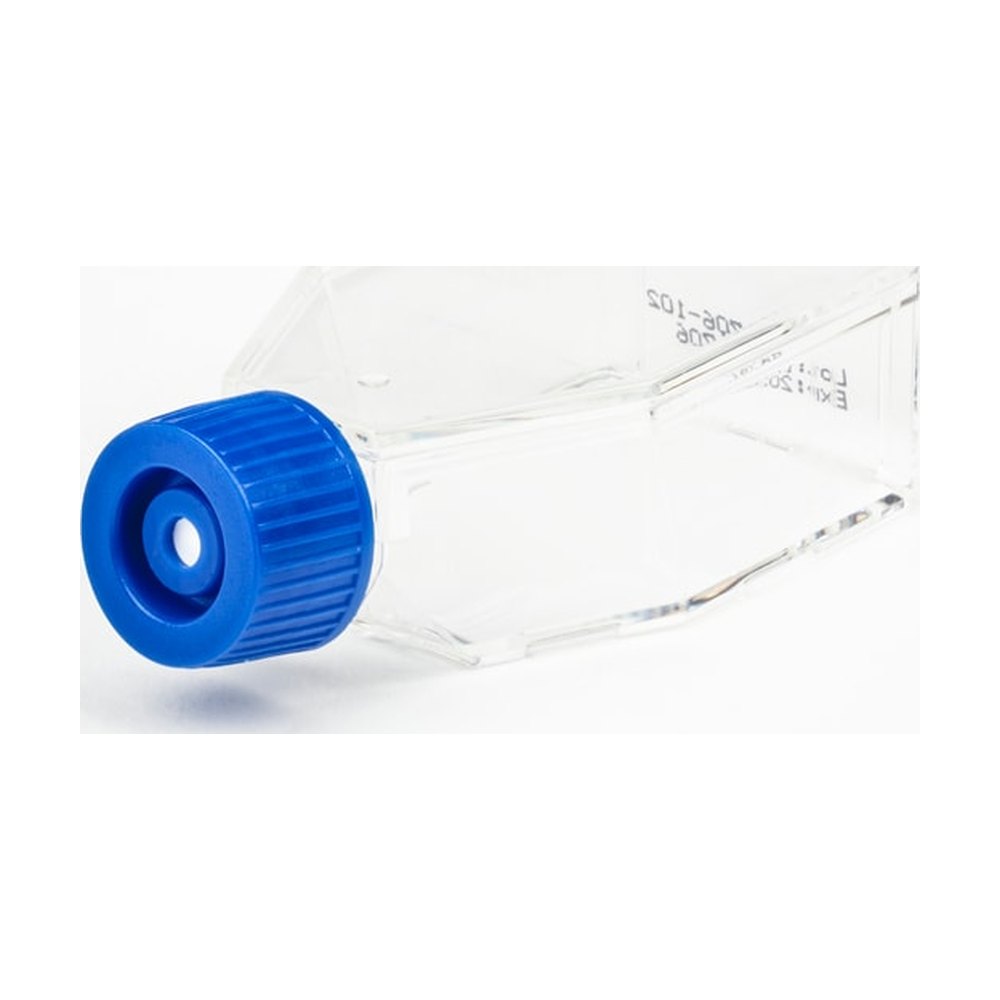 Fisherbrand&trade;&nbsp;Flacons de culture tissulaire stérile traités en surface, bouchon ventilé