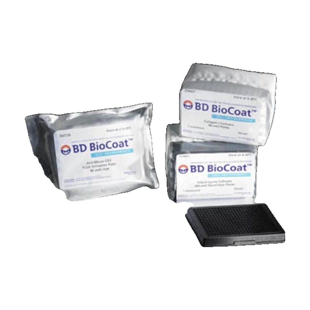 Falcon&trade;&nbsp;Microplaque BioCoat&trade; à fond plat, avec 384 puits, traitée en collagène de type I