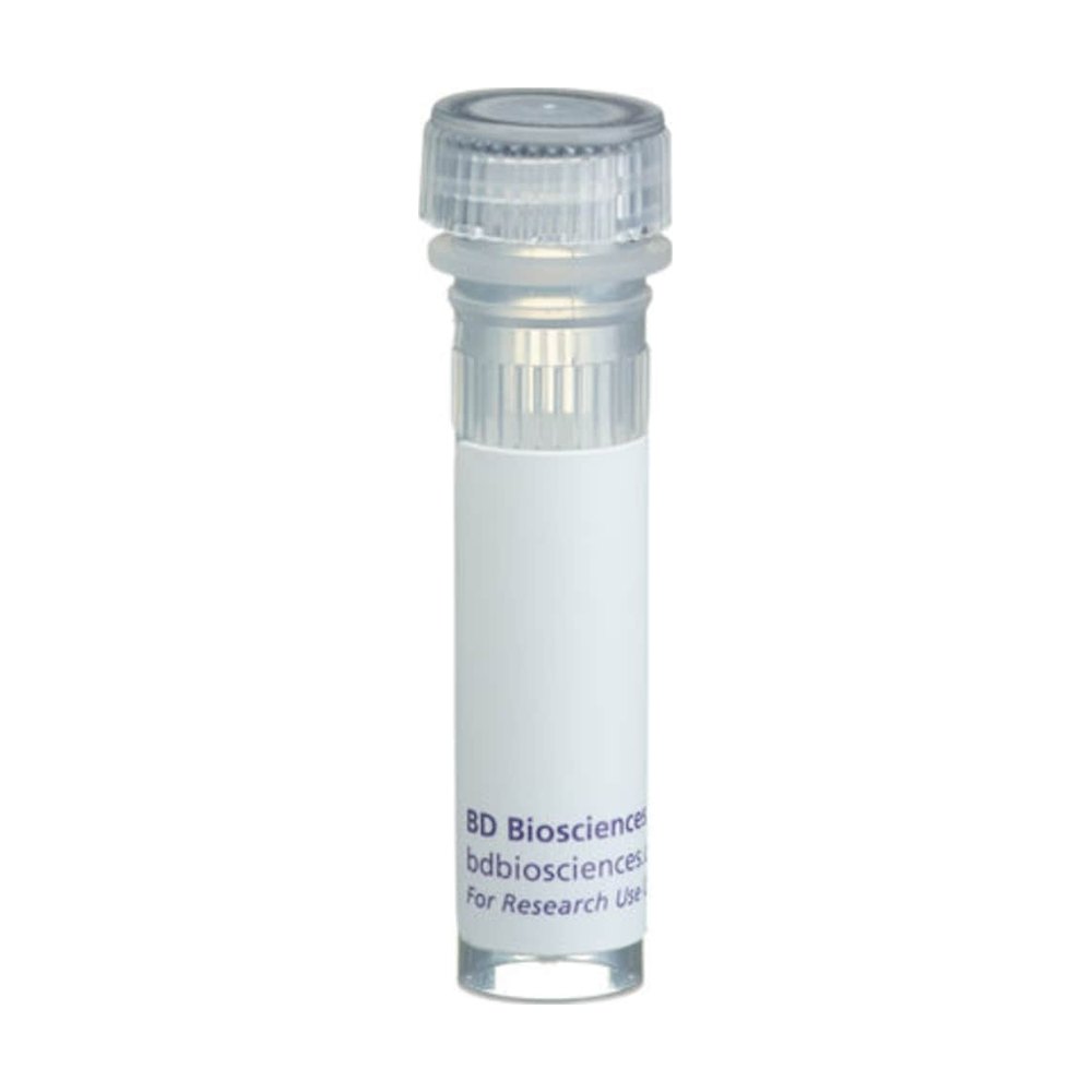 BD&nbsp;K-562 Cell Lysate