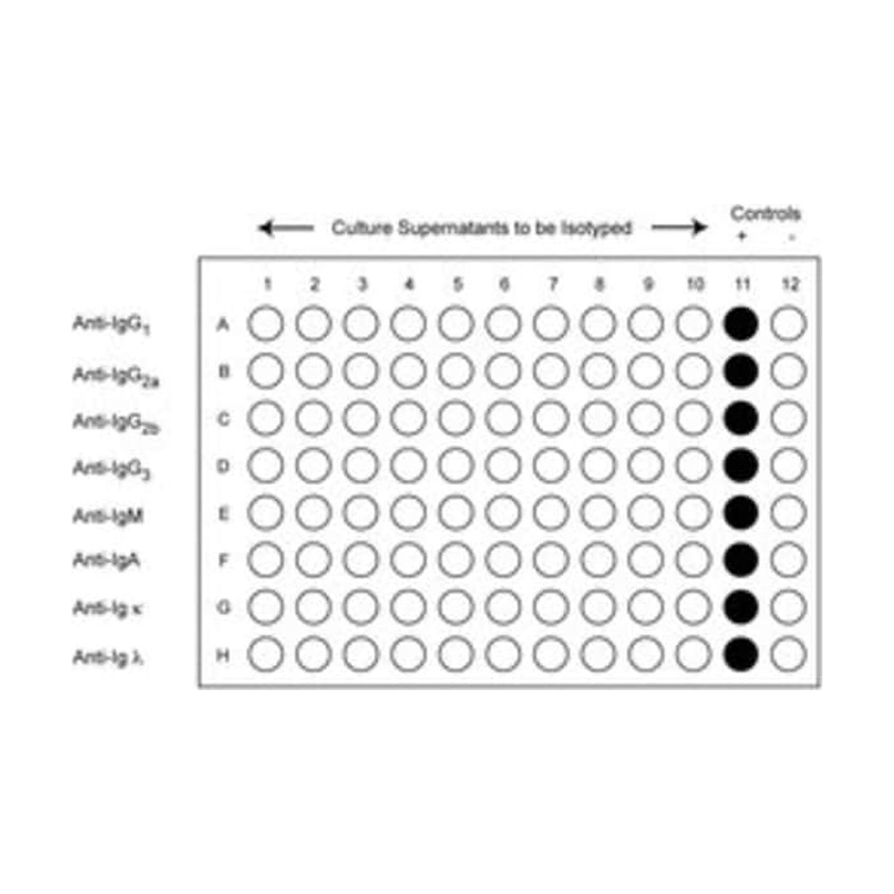 BD&nbsp;Kit ELISA d’isotypage d’immunoglobulines de souris