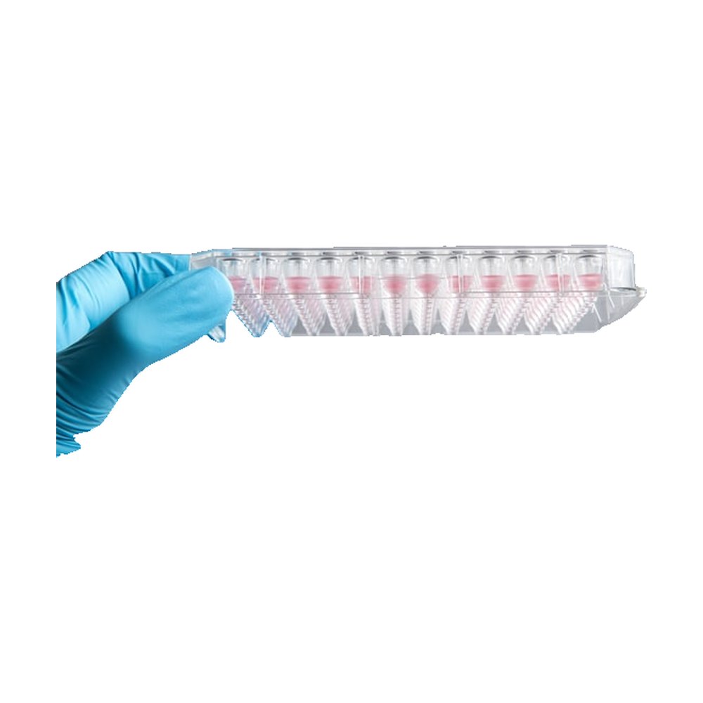 InSphero&trade;&nbsp;Microplaques pour sphéroïdes Akura&trade; 96