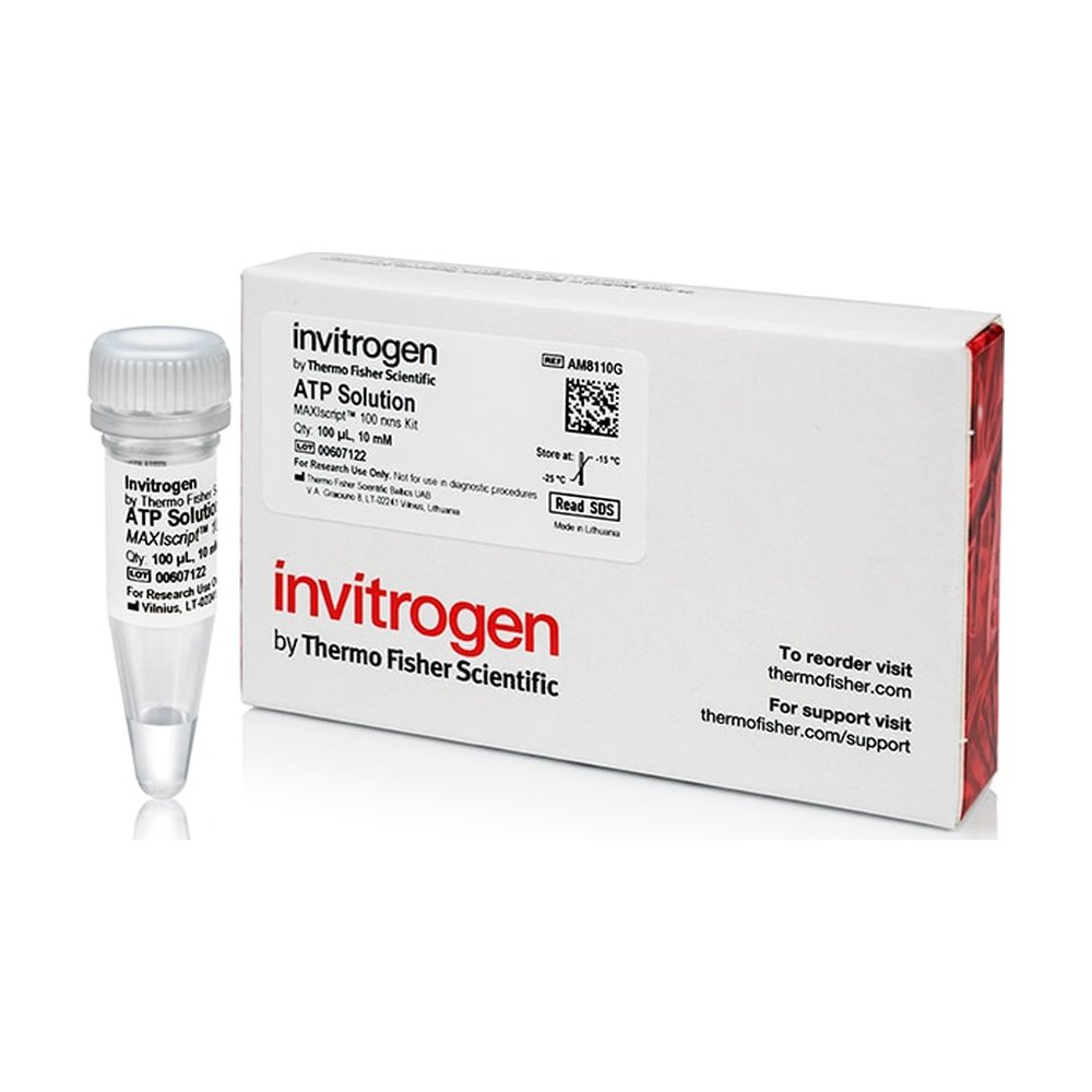 Invitrogen&trade;&nbsp;ATP Solution (10 mM)