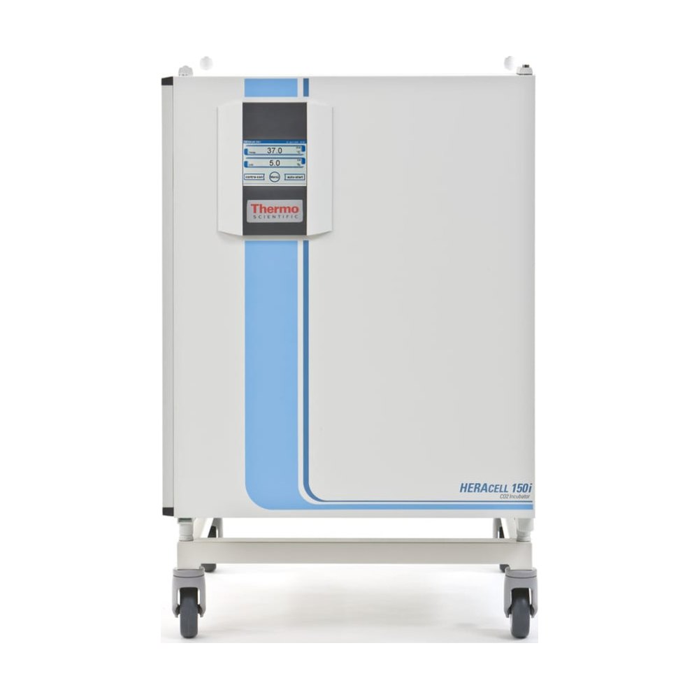 Heracell™ 240i incubateur CO₂, 240L, usage général 100 V, 50/60 Hz