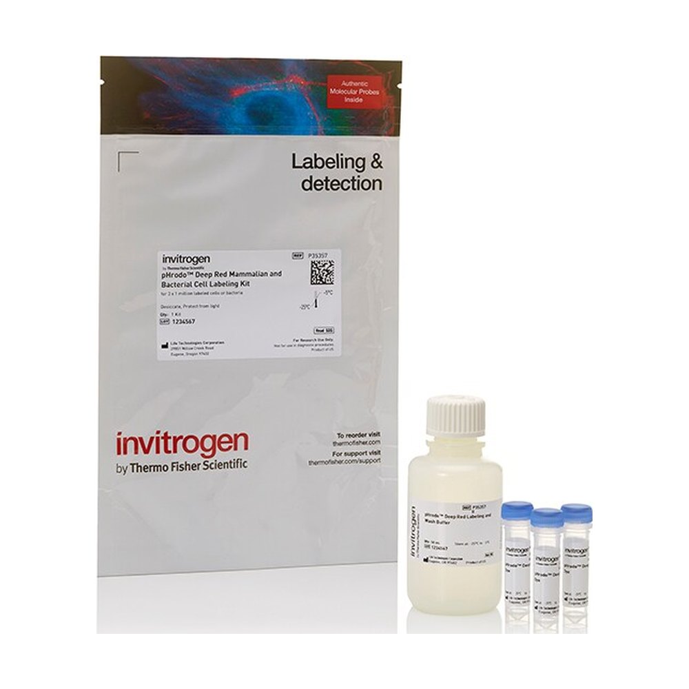 Invitrogen&trade;&nbsp;pHrodo&trade; Deep Red Mammalian and Bacterial Cell Labeling Kit