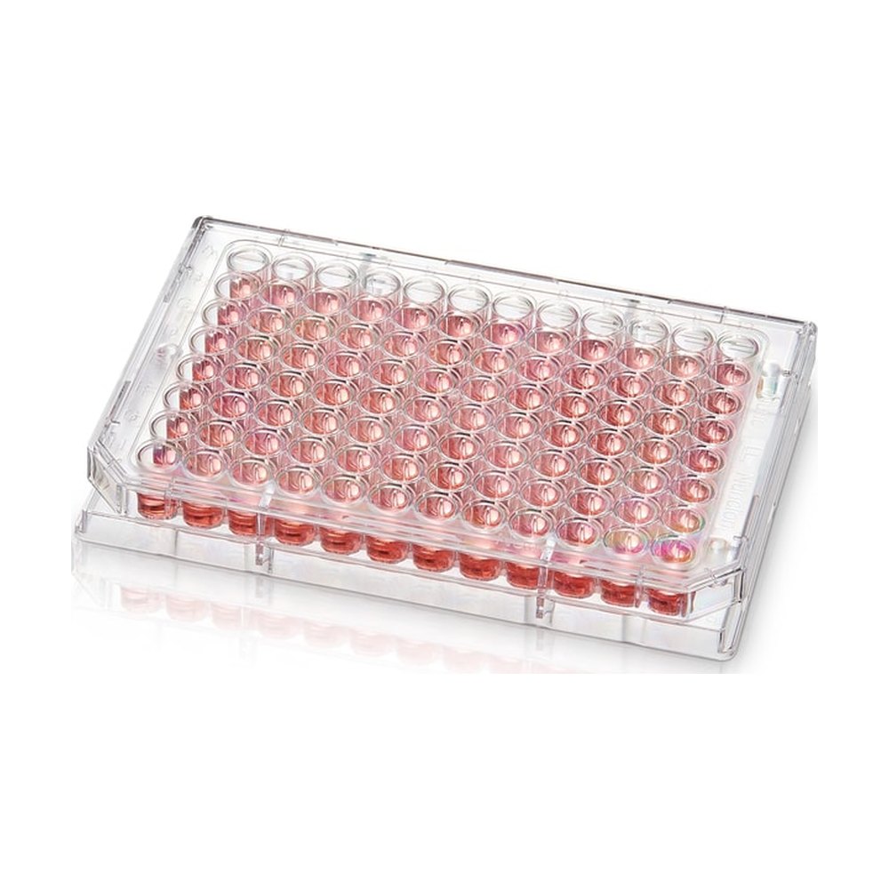 Thermo Scientific&trade;&nbsp;Microplaque 96 puits Nunc&trade; Microwell avec surface Nunclon&trade; Supra