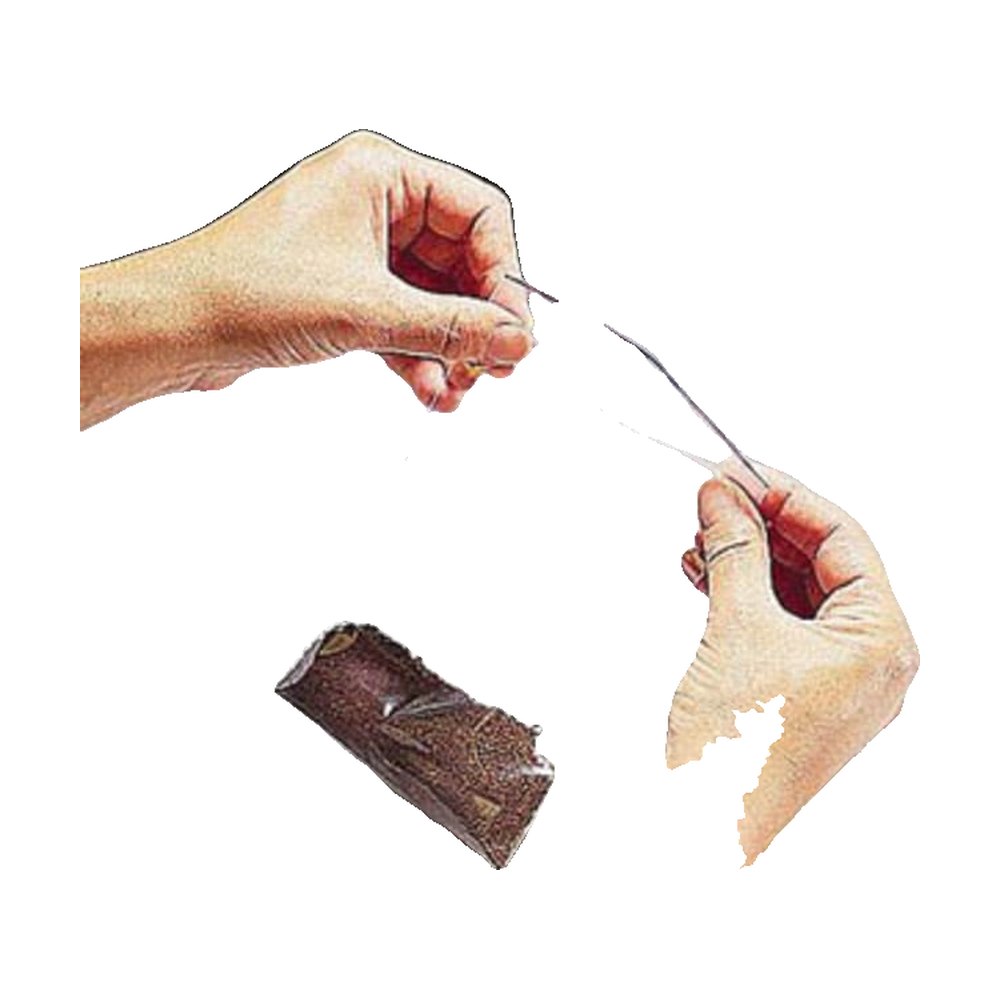Cole-Parmer&trade;&nbsp;Sachets en LDPE à bord zippé