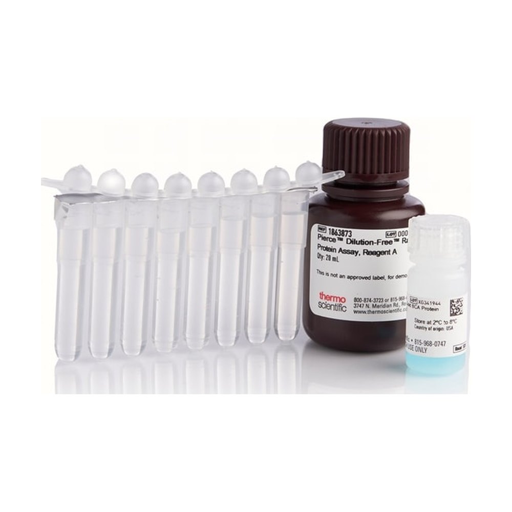 Thermo Scientific&trade;&nbsp;Pierce&trade; Dilution-Free&trade; Rapid Gold BCA Protein Assay
