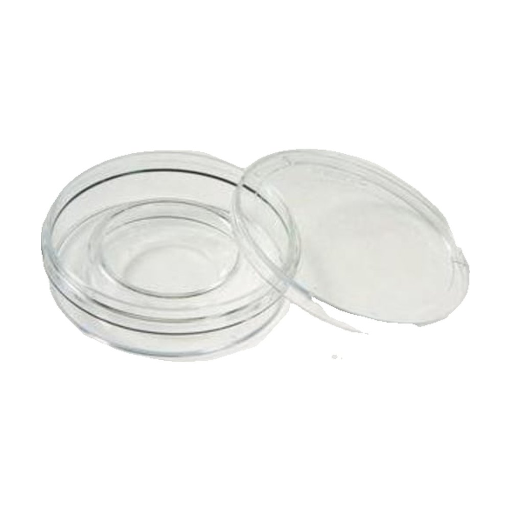 Thermo Scientific™ Boîte à puits central Nunc™ IF