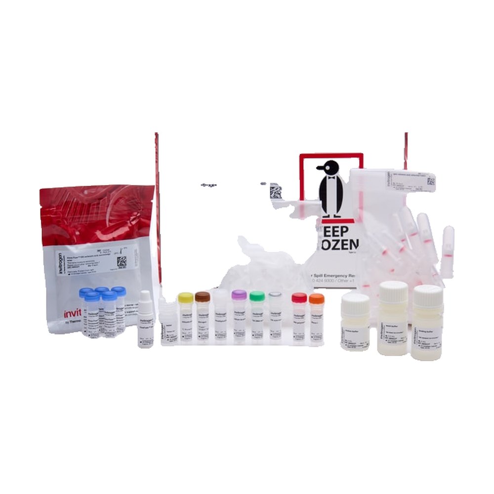 Molecular Probes&trade;&nbsp;FISH Tag&trade; DNA Kits with Alexa Fluor&trade; Dyes