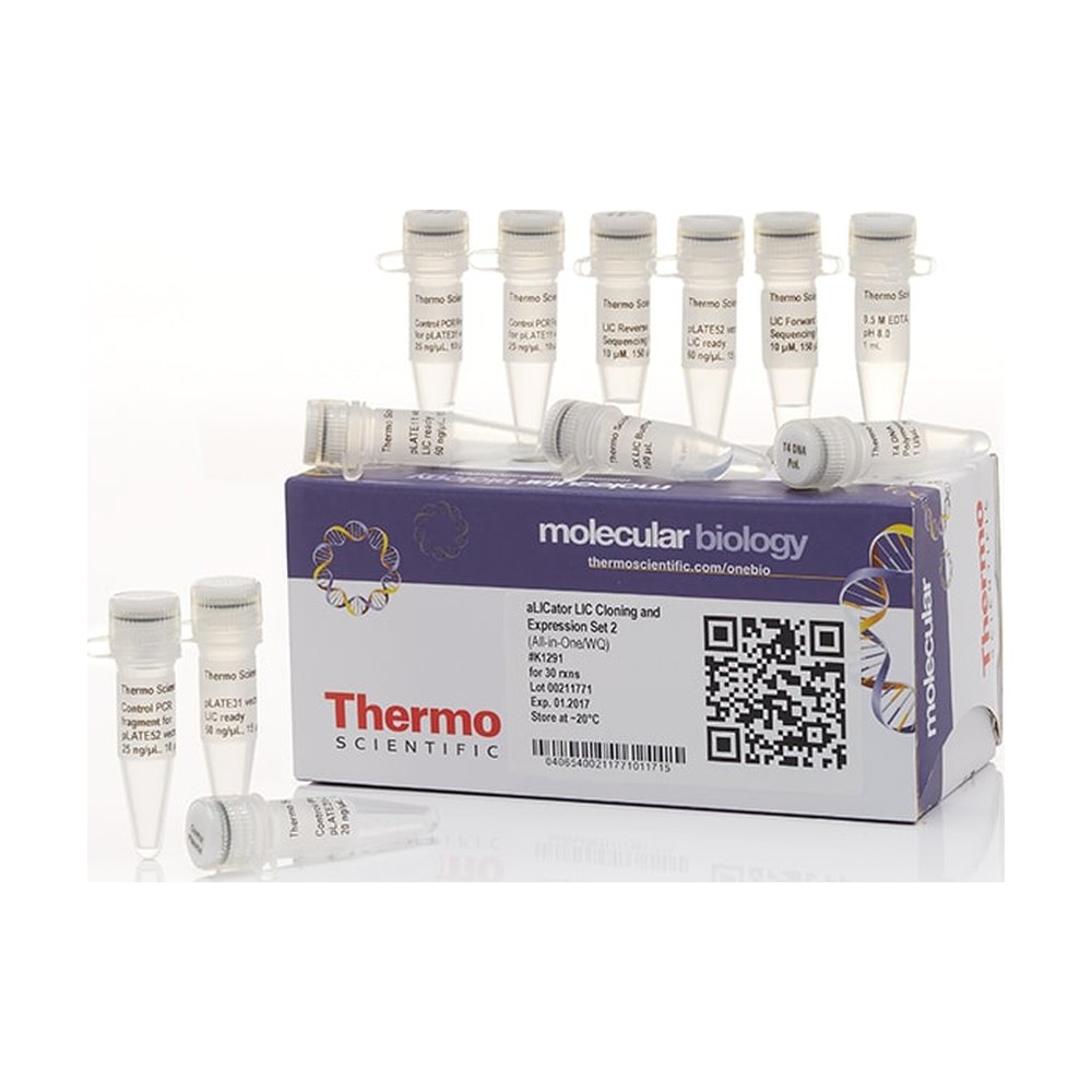 Thermo Scientific&trade;&nbsp;aLICator LIC Cloning and Expression Set 2 (All-in-One/WQ)