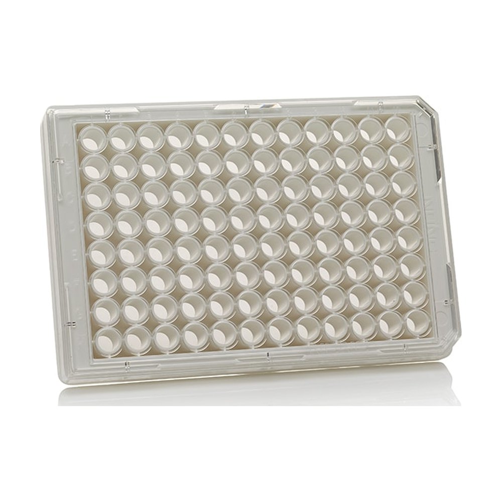 Thermo Scientific&trade;&nbsp;Plaque inférieure transparente / blanche à 96 puits, surface TC