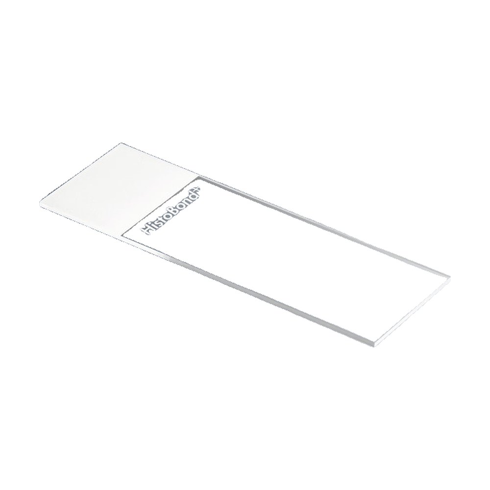Marienfeld Superior&trade;&nbsp;HistoBond&trade;+ Lames porte-objets adhésives avec champ d'inscription imprimé