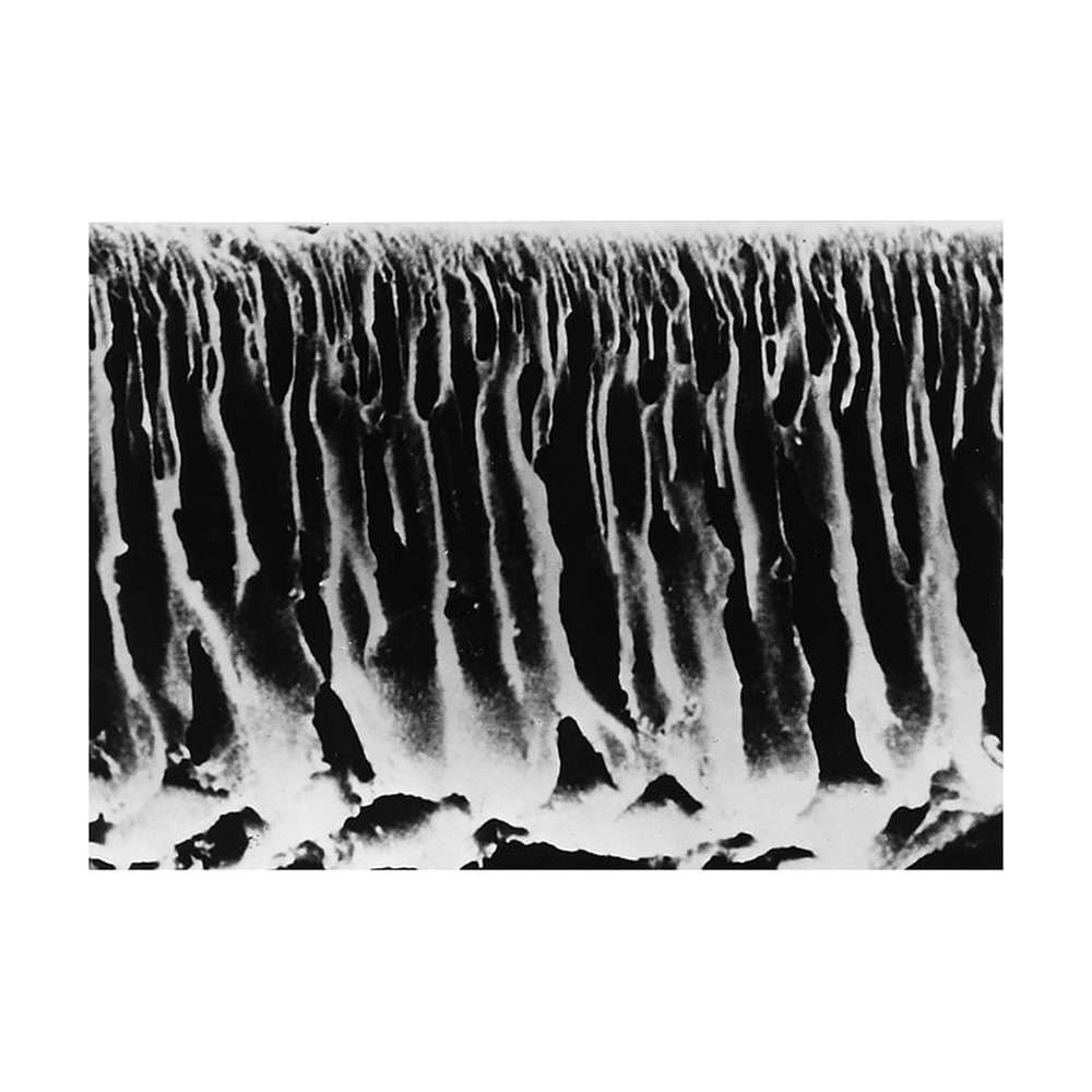 Merck&nbsp;Membranes d’ultrafiltration - Filtres en PAN / copolymère de PVC Amicon&trade; XM
