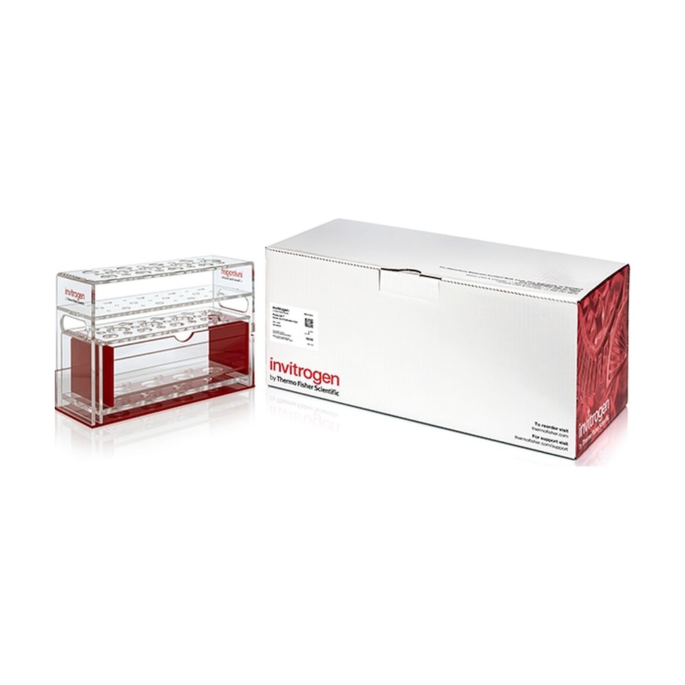 Invitrogen&trade;&nbsp;PureLink&trade; Nucleic Acid Purification Rack