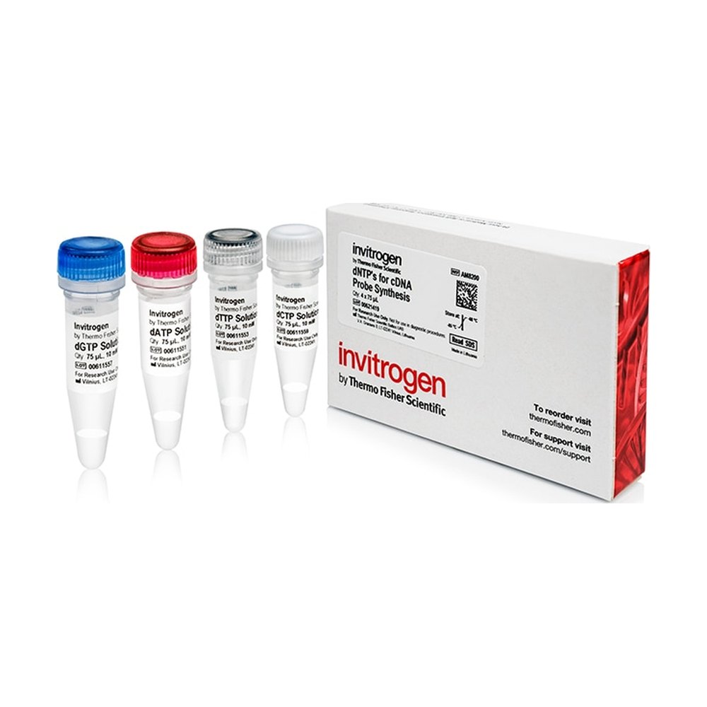 Invitrogen&trade;&nbsp;dNTPs for cDNA Probe Synthesis (10 mM)