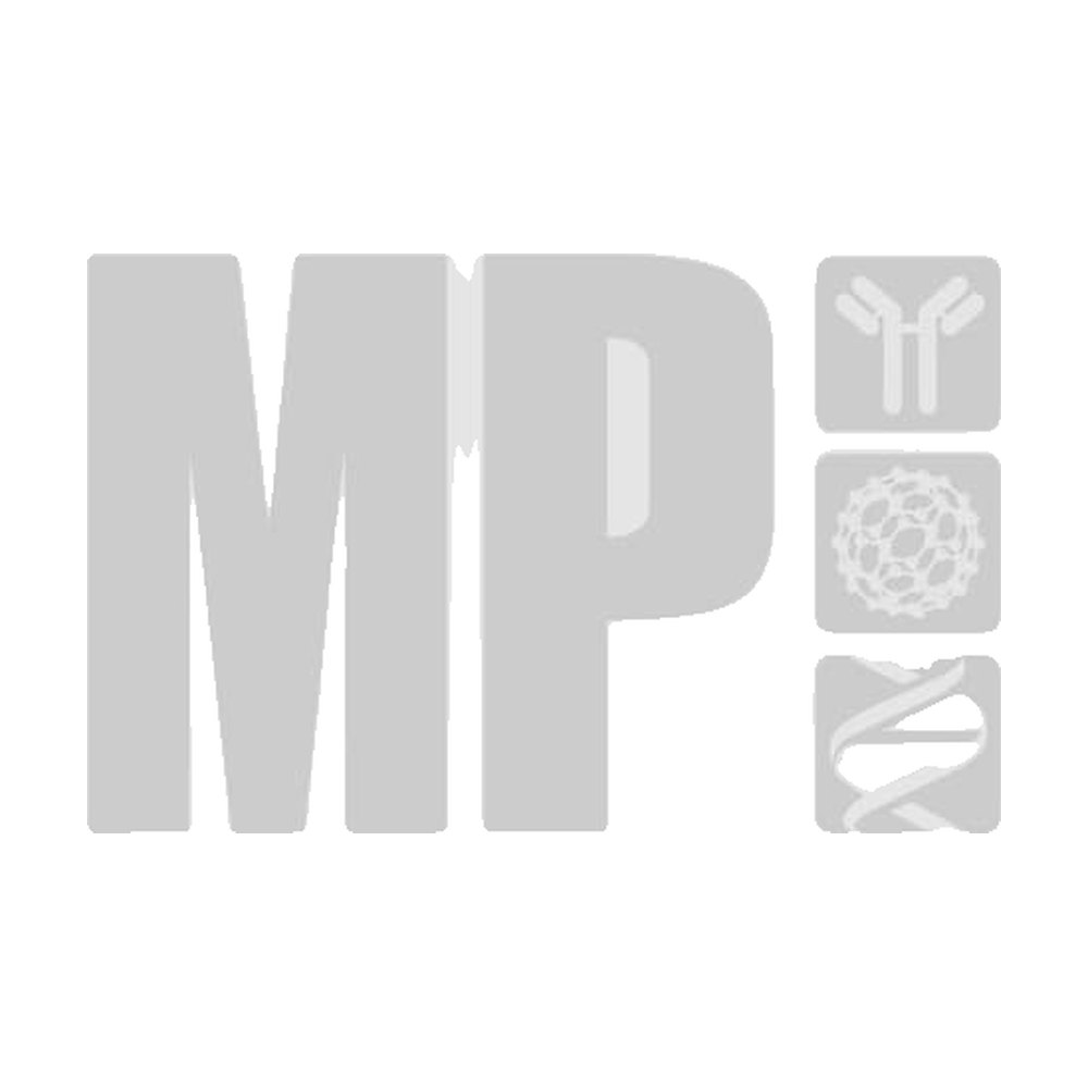 MP Biomedicals&trade;&nbsp;Collagen Type I from Calf Skin