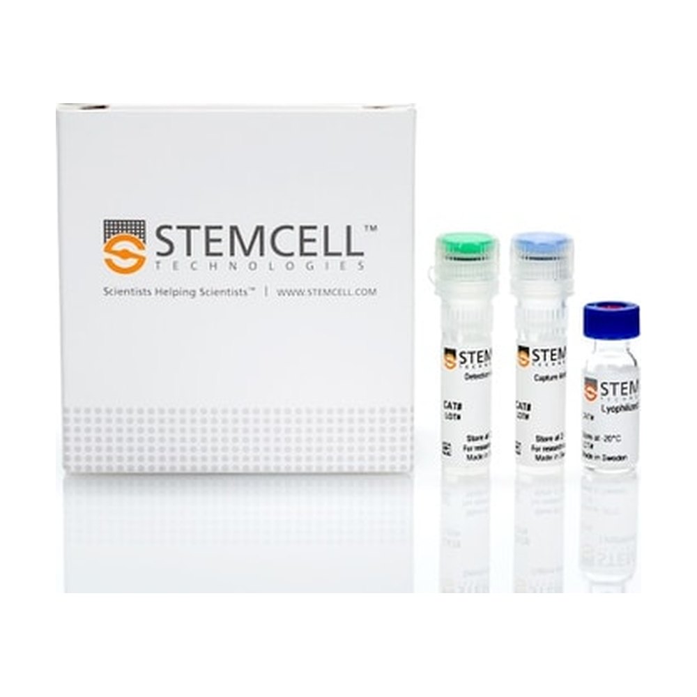STEMCELL Technologies&nbsp;Human IgM ELISA Antibody Pair Kit