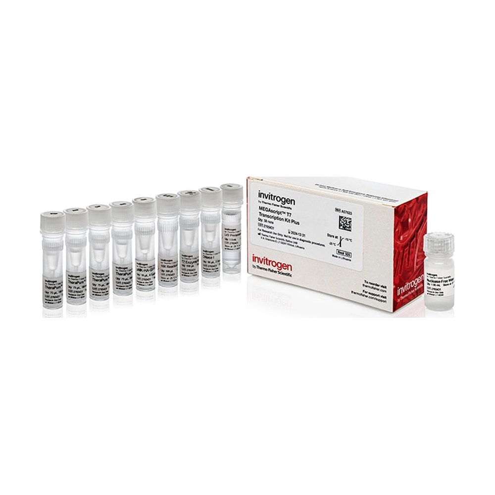 Invitrogen&trade;&nbsp;MegaScript&trade; T7 Transcription Kit Plus
