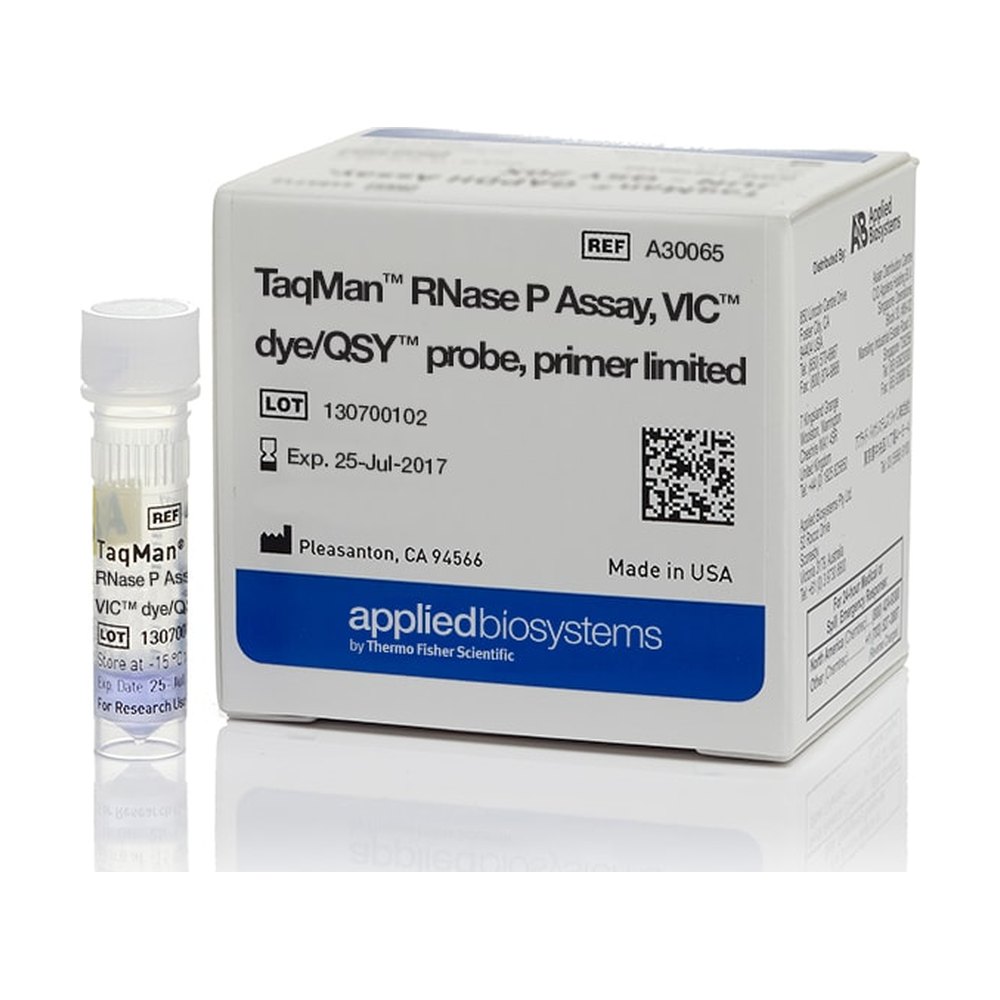 Applied Biosystems™ Dosage de RNase P TaqMan™, sonde VIC™ colorant/QSY™, limité à l’amorce