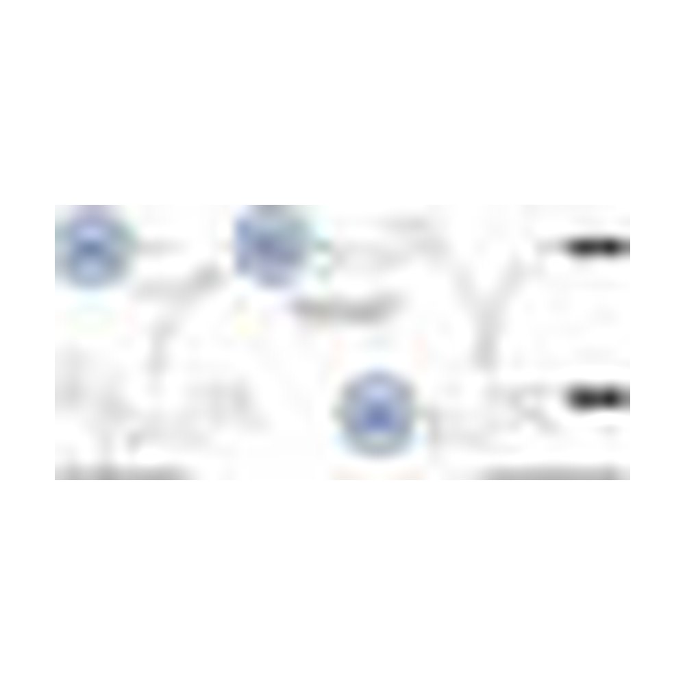 Thermo Scientific&trade;&nbsp;Imject&trade; Maleimide-Activated mcKLH